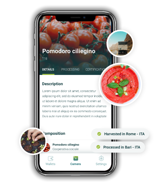 App mobile Foodchain